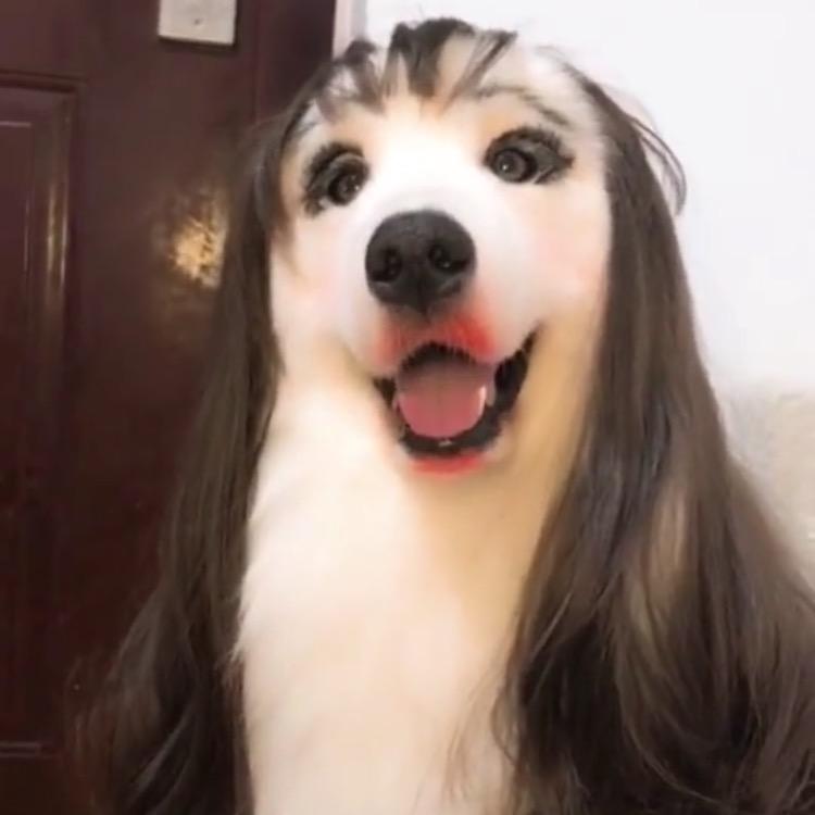 摸个牛、逮个鱼