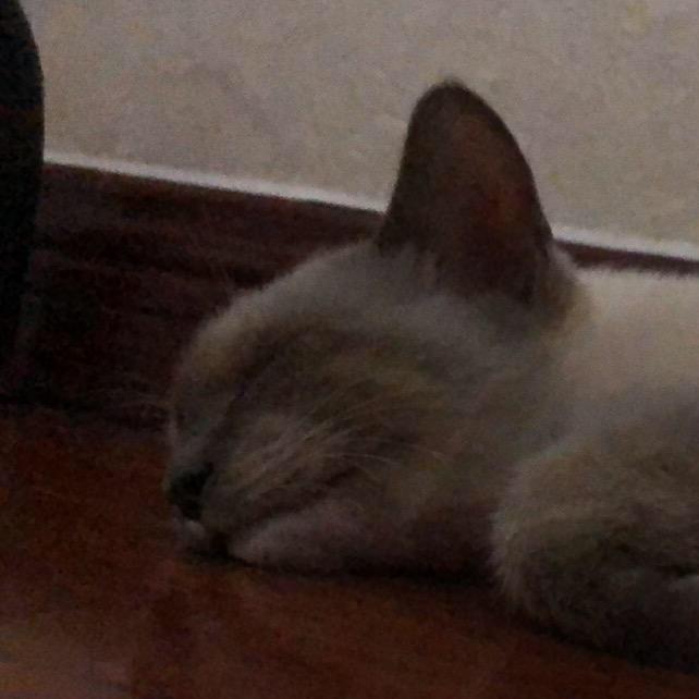 荒野乱斗💫睡醒k.