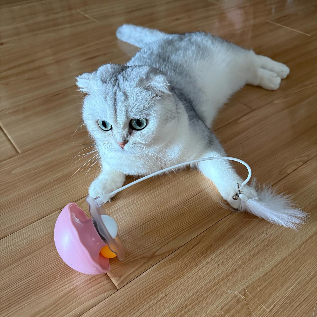 不卷不斗的阿暖