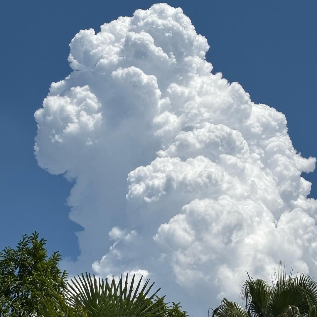 🌾💐♡+♡=♡²🌾💐