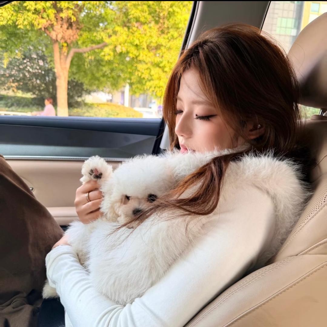 人丑嘴不甜有病还没钱