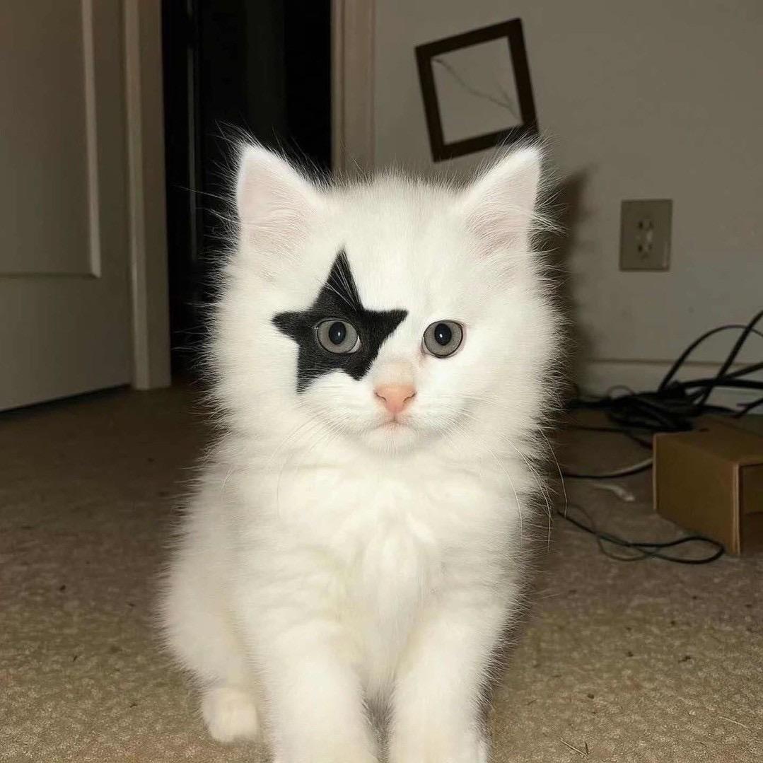 ￴ ￴ ￴ ￴ ￴