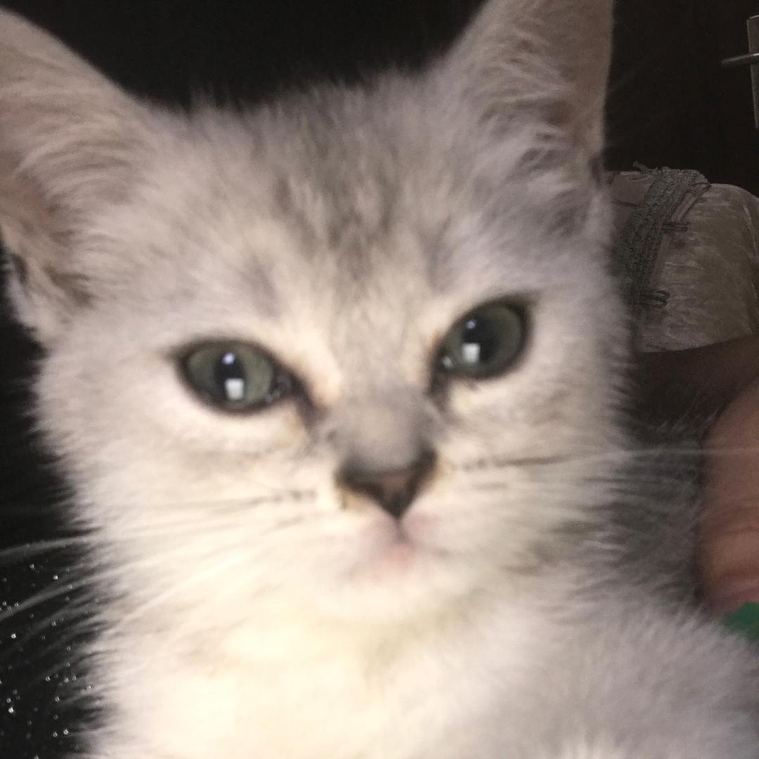 超级棒的刘六六