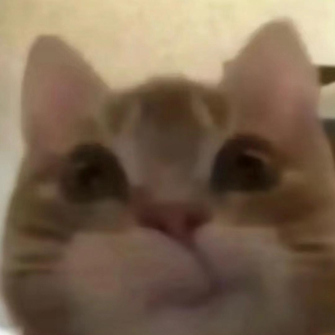 小昭zzZ