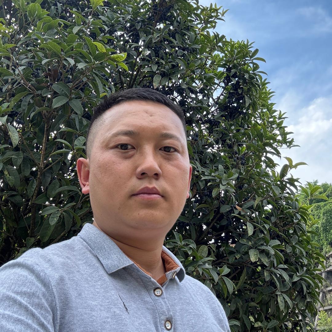 红孩儿  人参果供应链