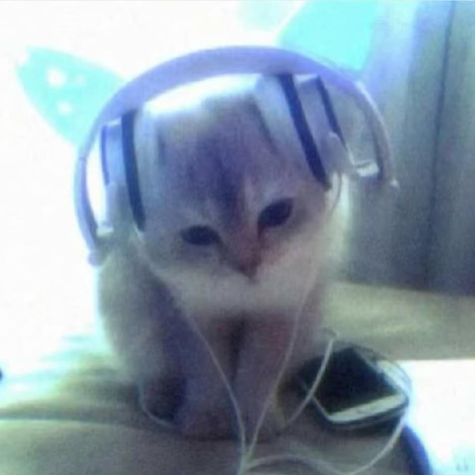 。。。。。。