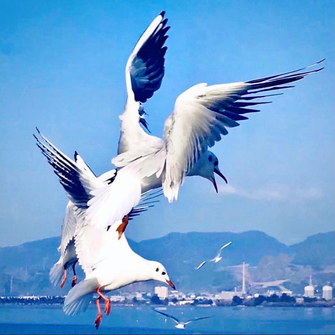 传递