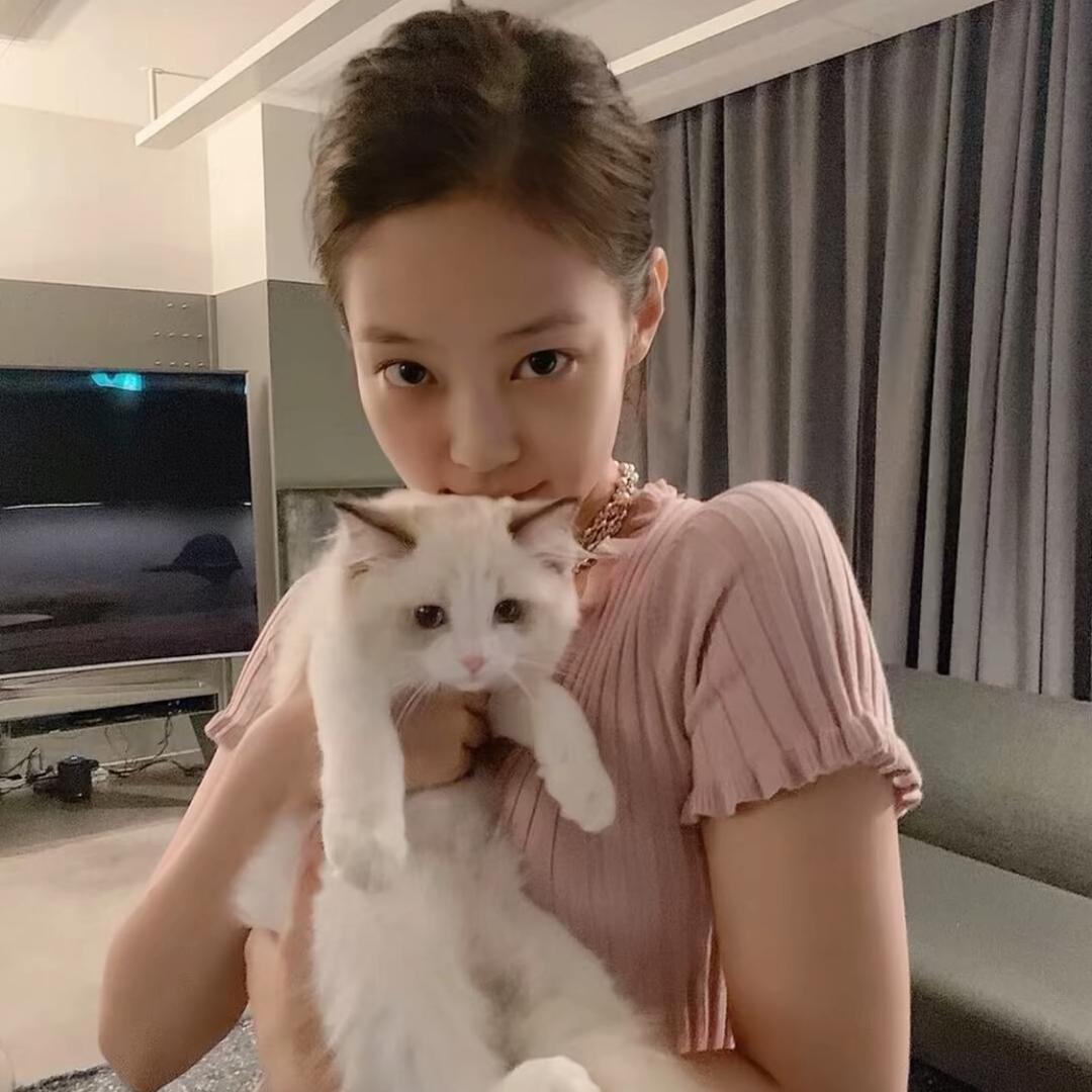 @睡个好觉