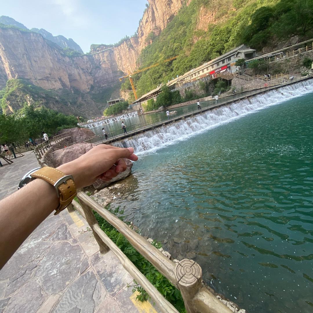 泡泡🫧断码韭菜拯救者