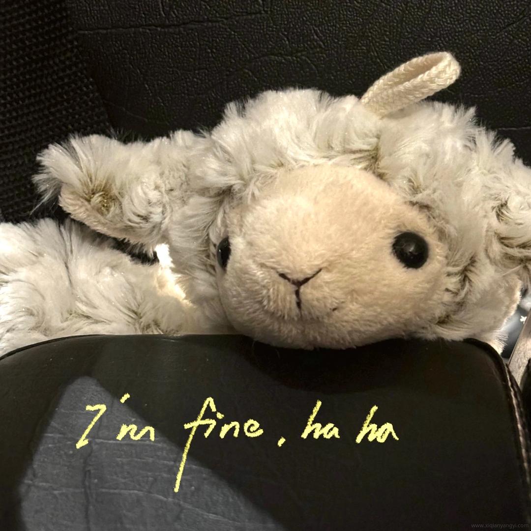 🐑🐑🐑