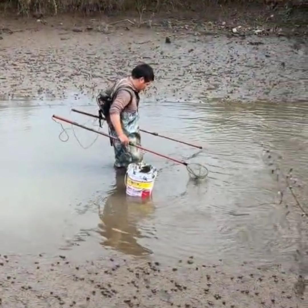 汤先生活着就行【佛系钓鱼人】