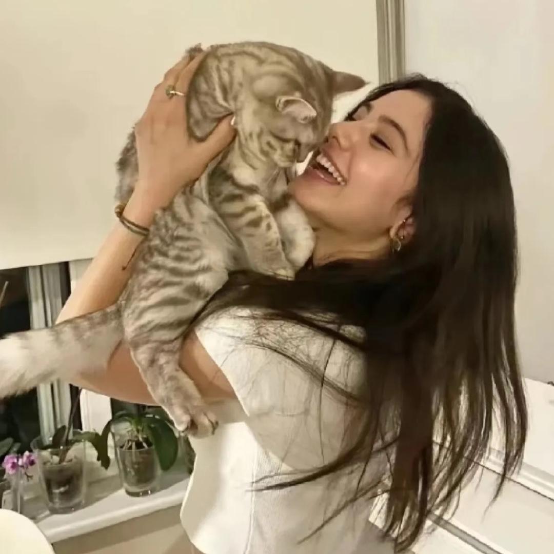 ViVi