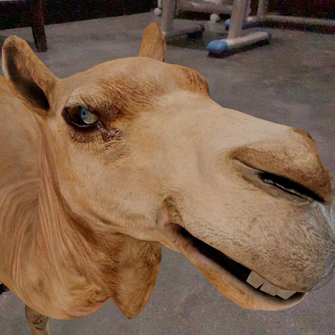 妞妞好牛