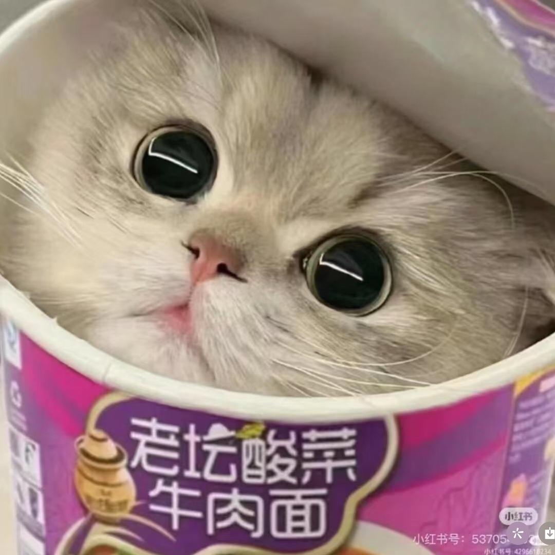 是丸子吖