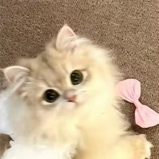 。。