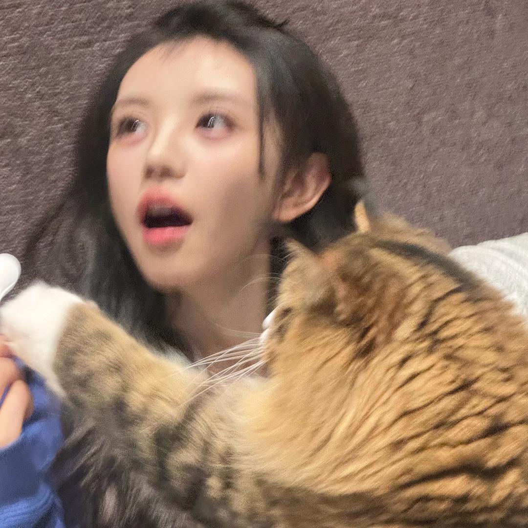 保护大脆皮