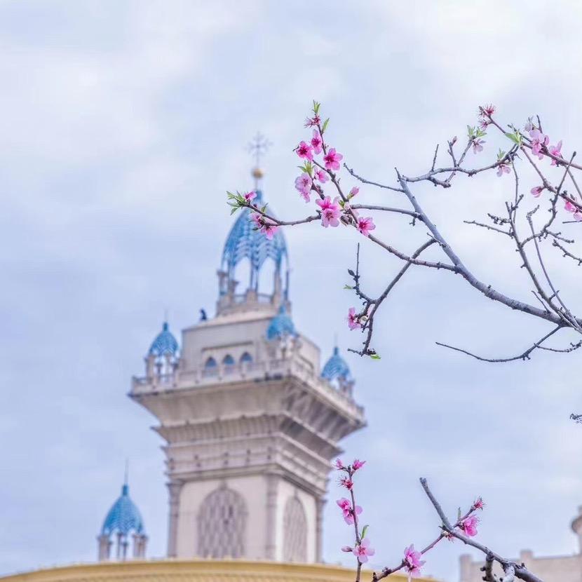 巅峰天津健身训练营