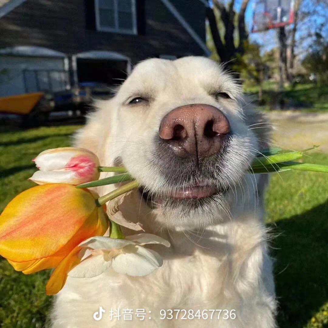 小王带你看风云