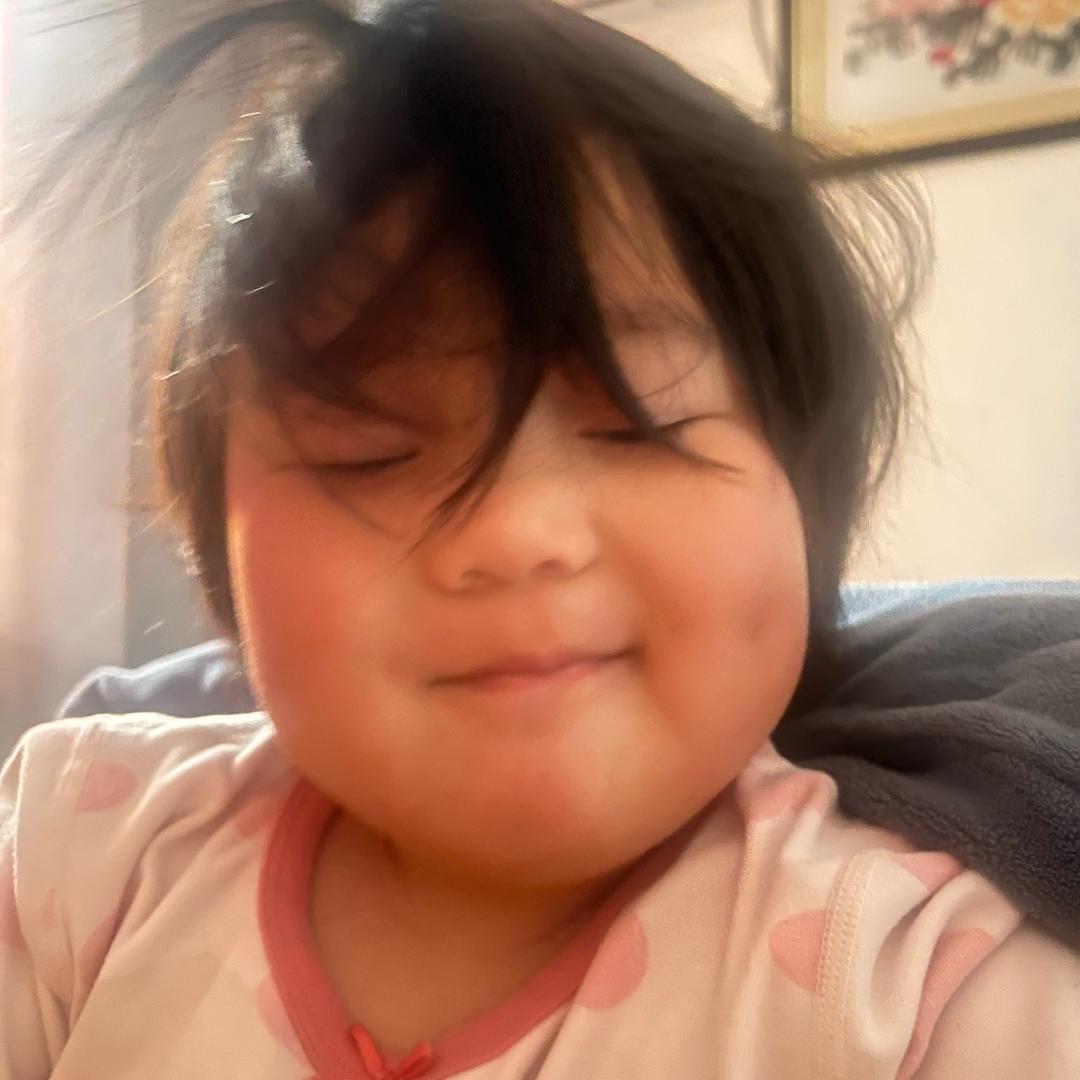 圆滚滚和肥墩墩