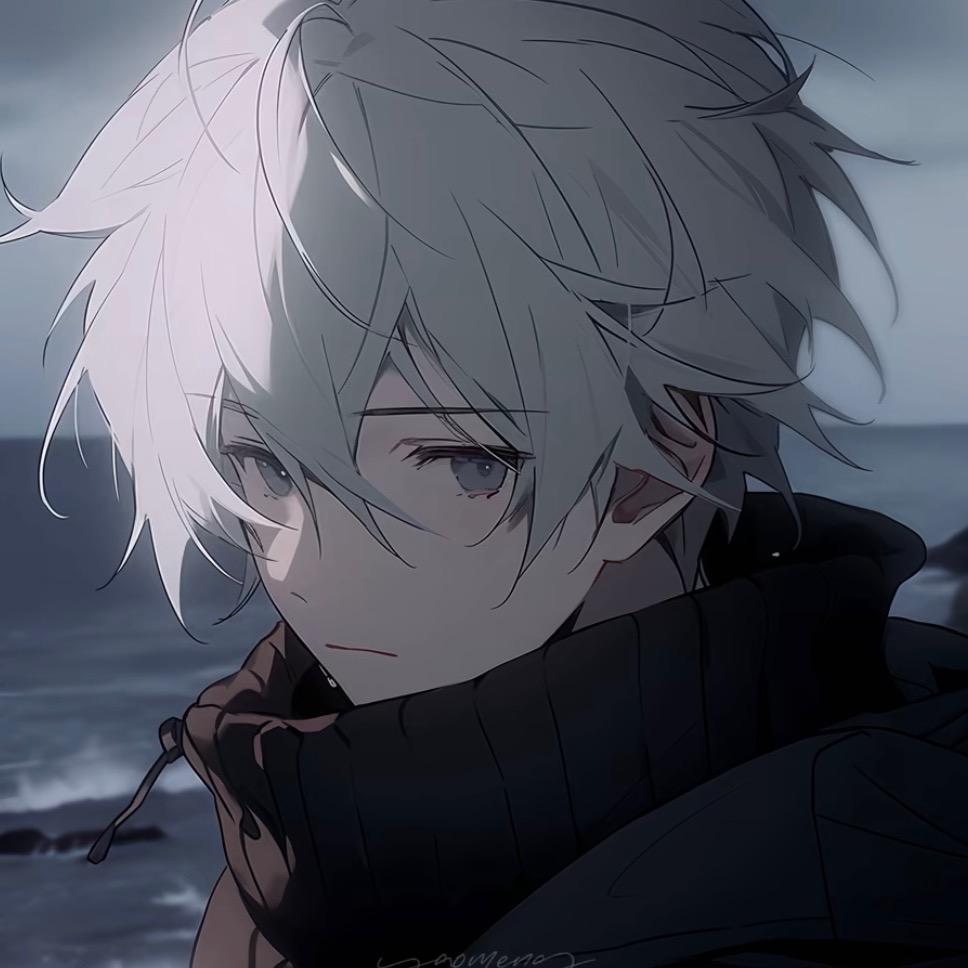 王者荣耀洛晨(国一阿轲）