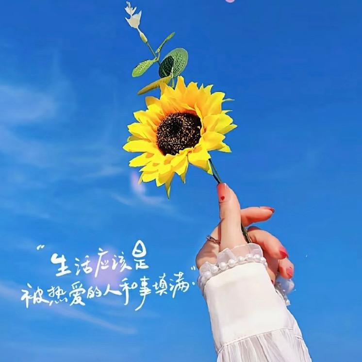 向日葵🌻