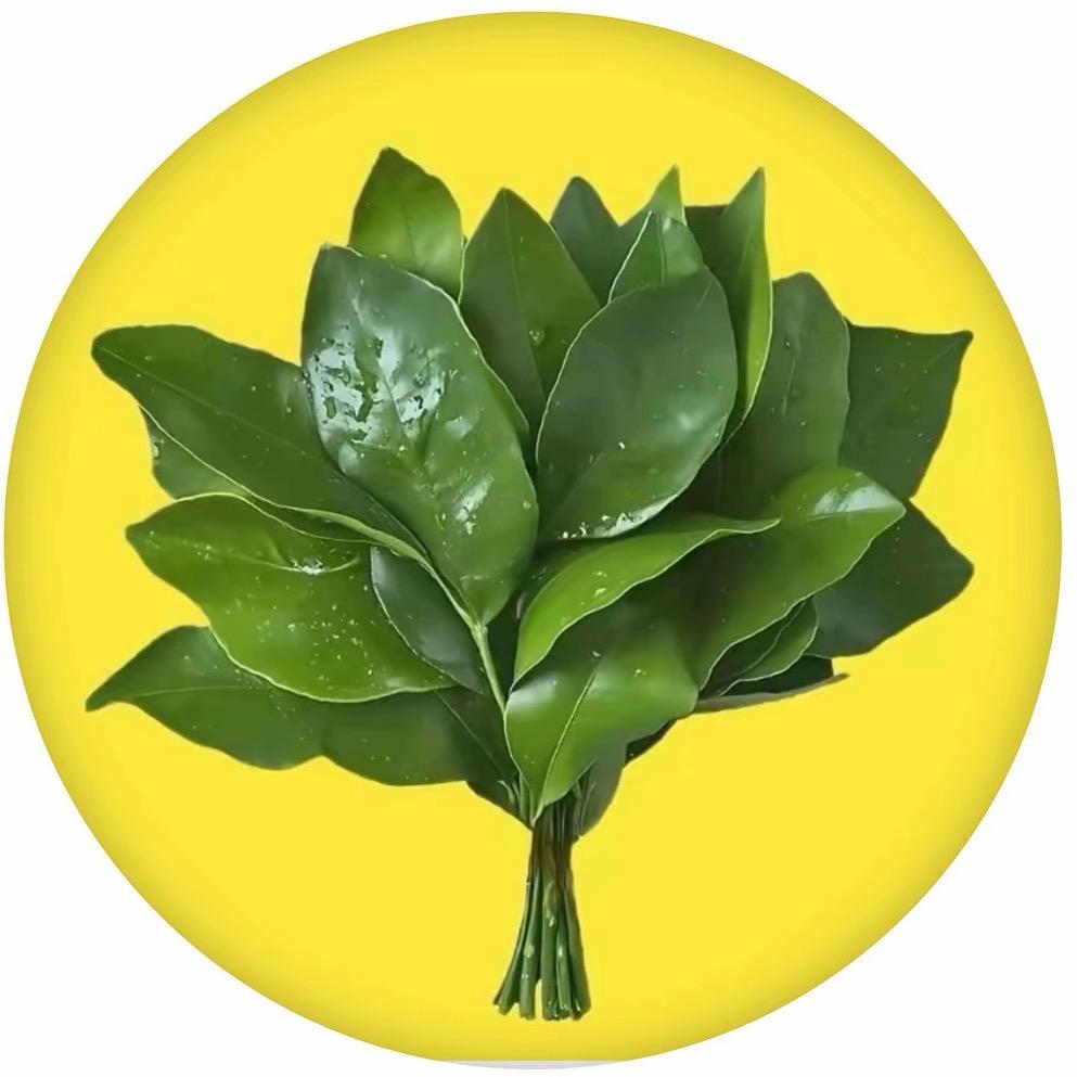 沈悦