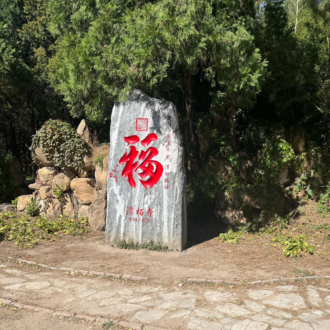 好久没见
