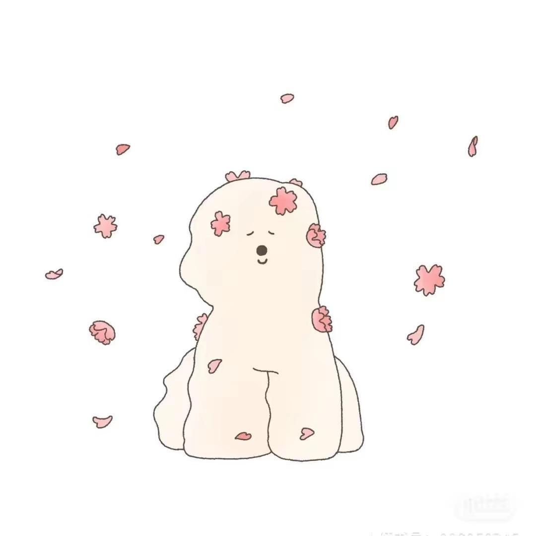 小鱼今天吃什么🐟