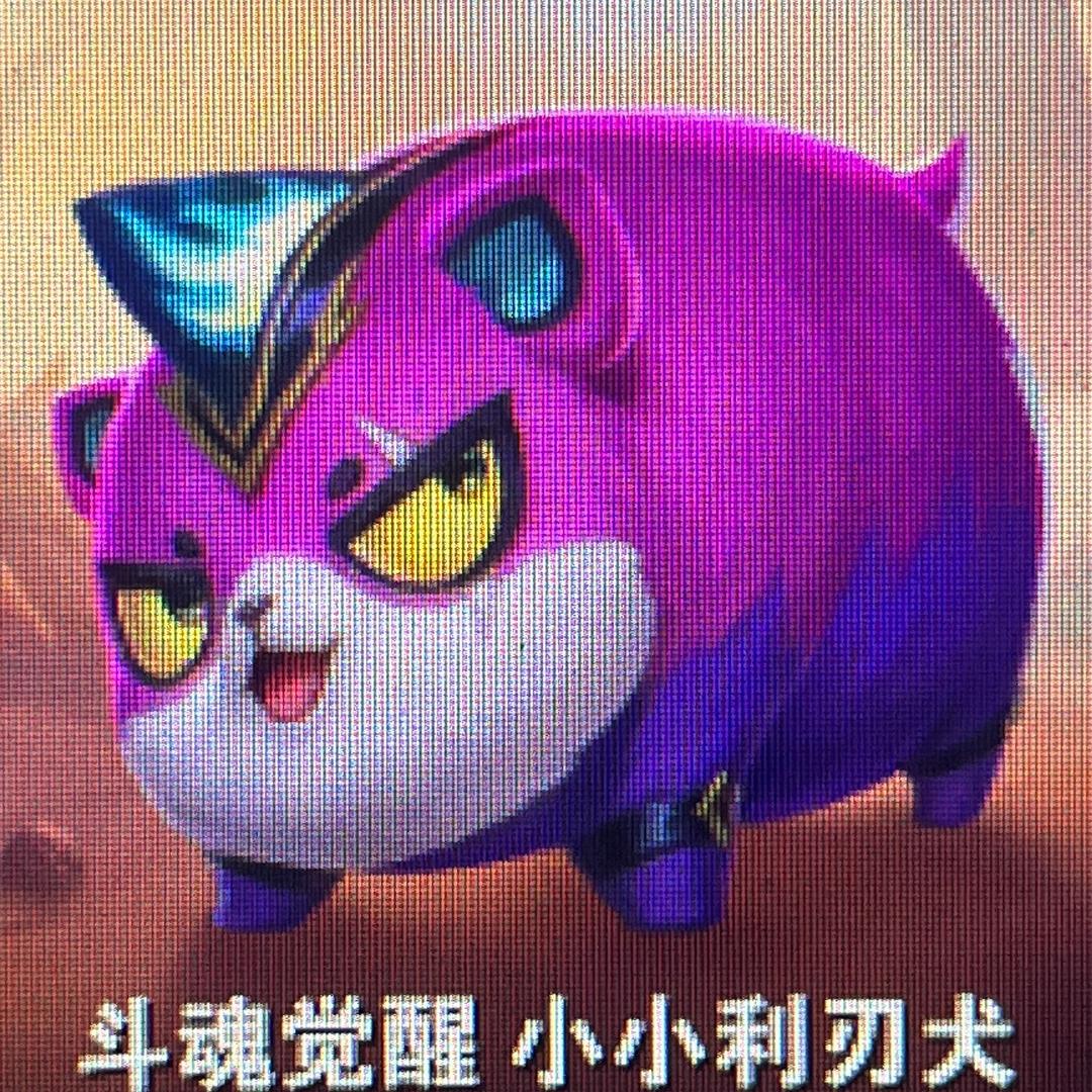 情种杀手（7Jia传媒）