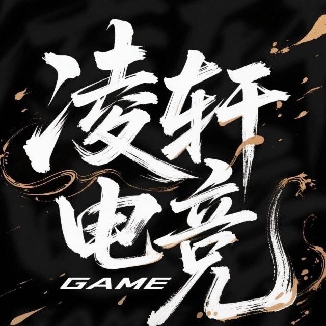 凌轩电竞店长-轩