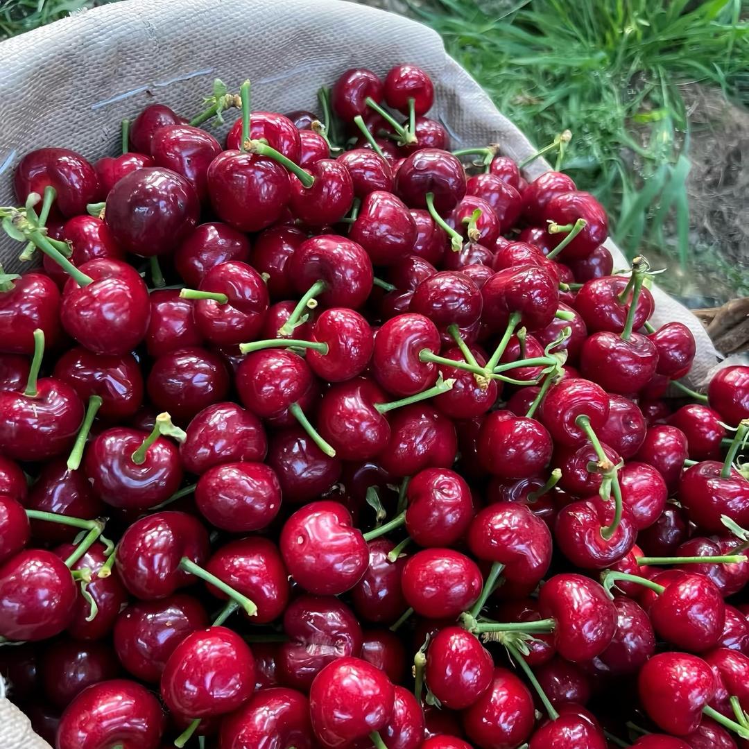 邮邮直供（橄榄油专场）