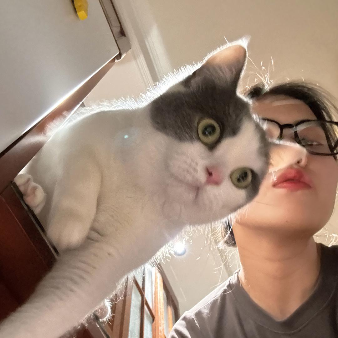 罗大宝是只猫