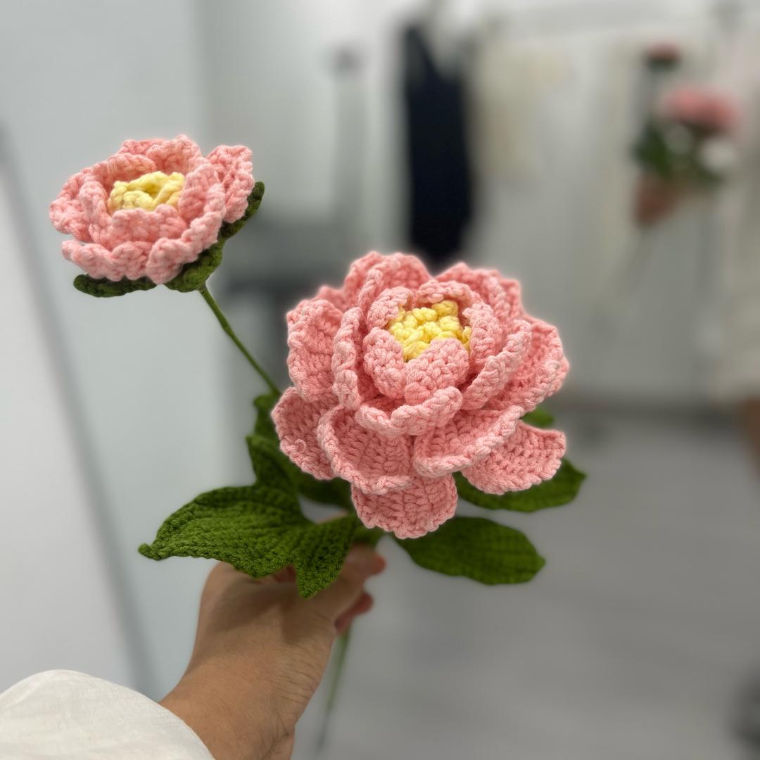小灰兔爱吃菜