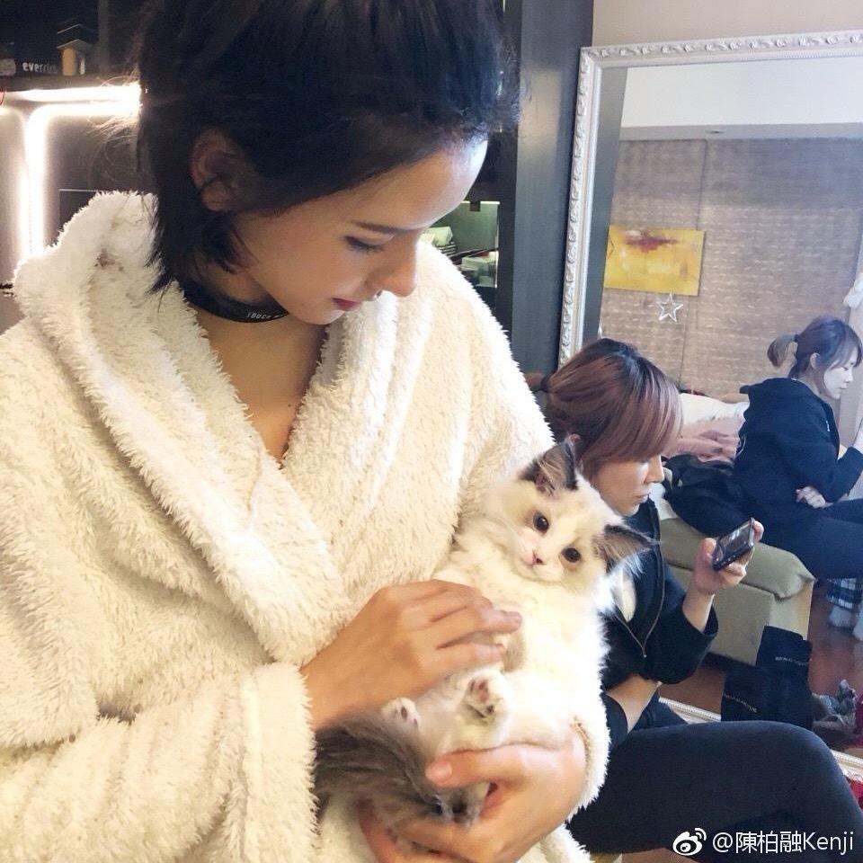 劲夫辣手摧花