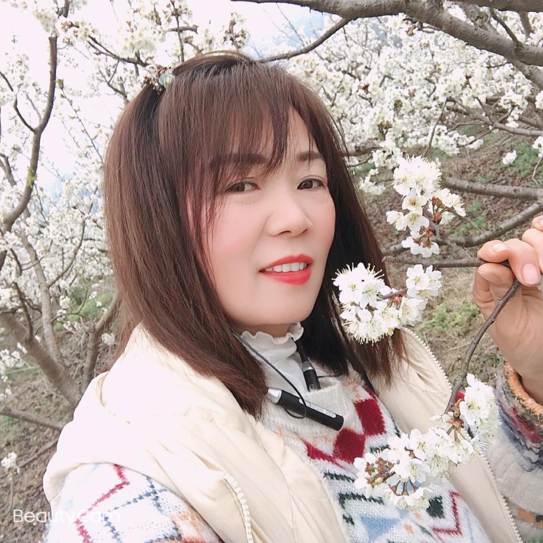 用户8267478589605