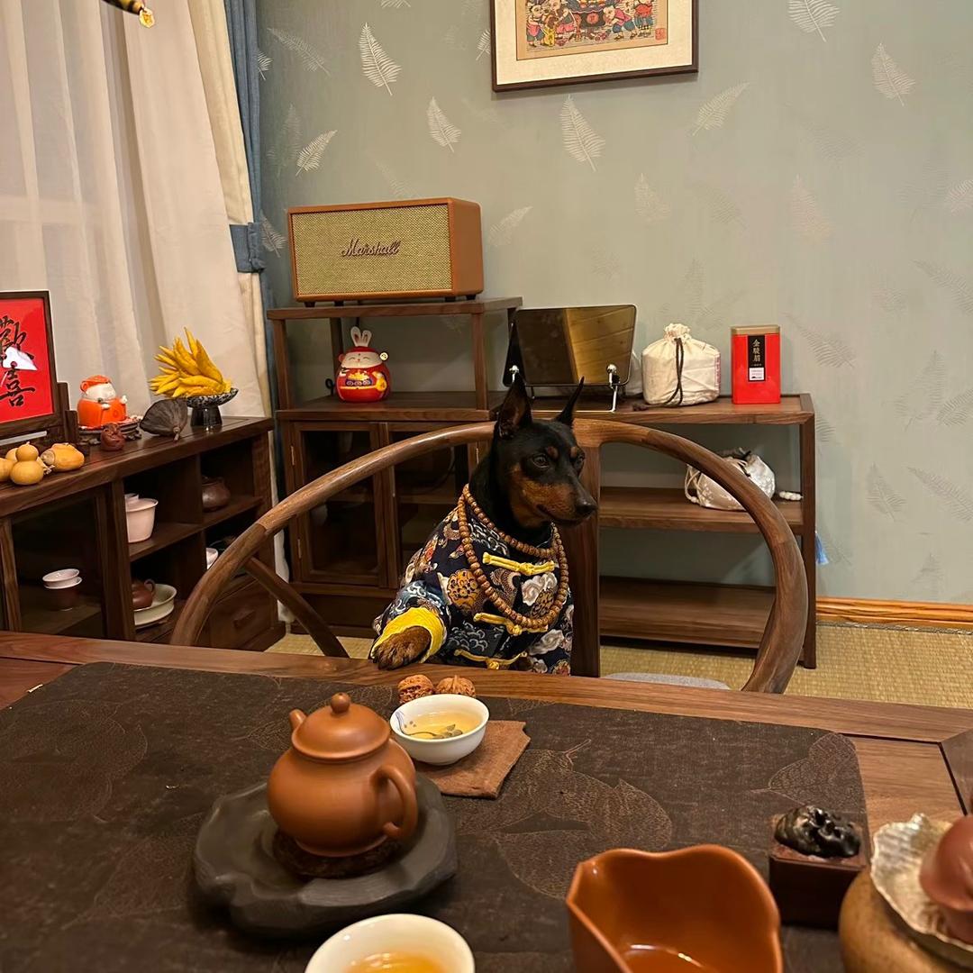名门汪族宠物生活馆