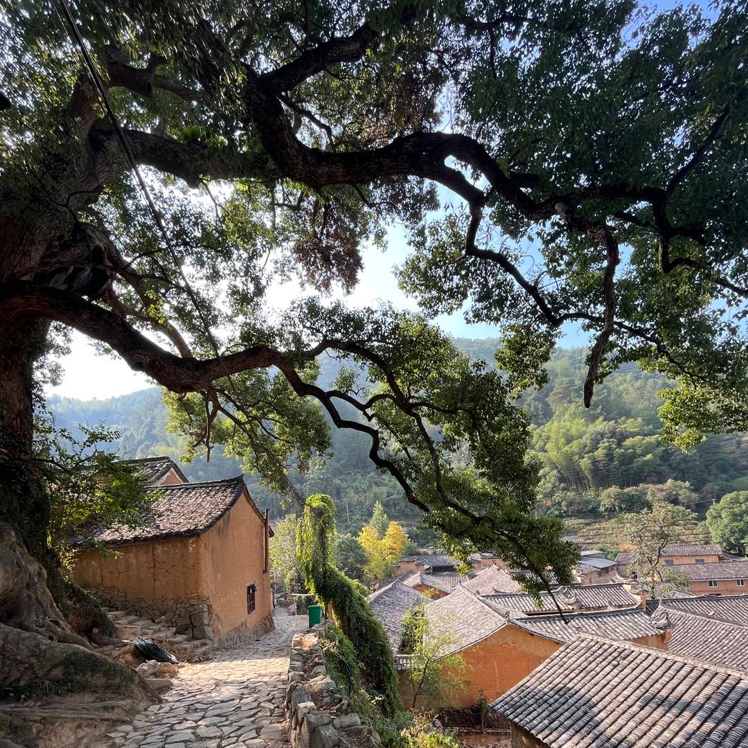 美丽松阳
