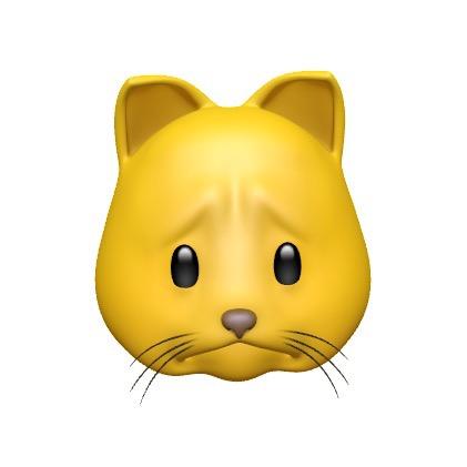猫meme 呀