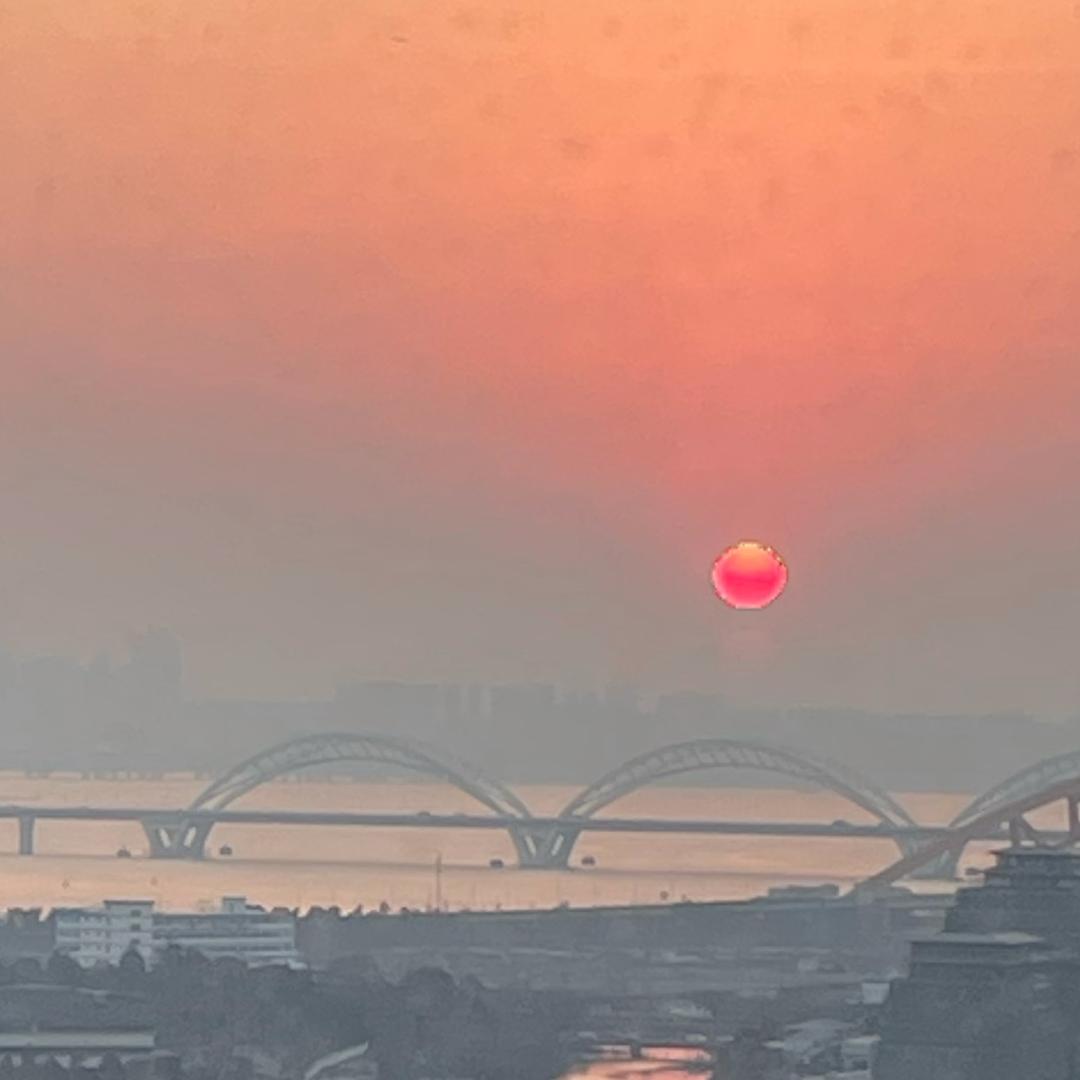 洛洛
