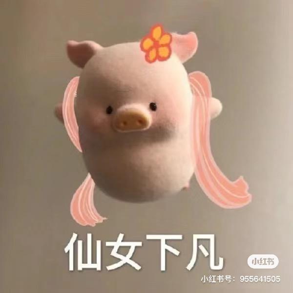 想吃薯片的猪