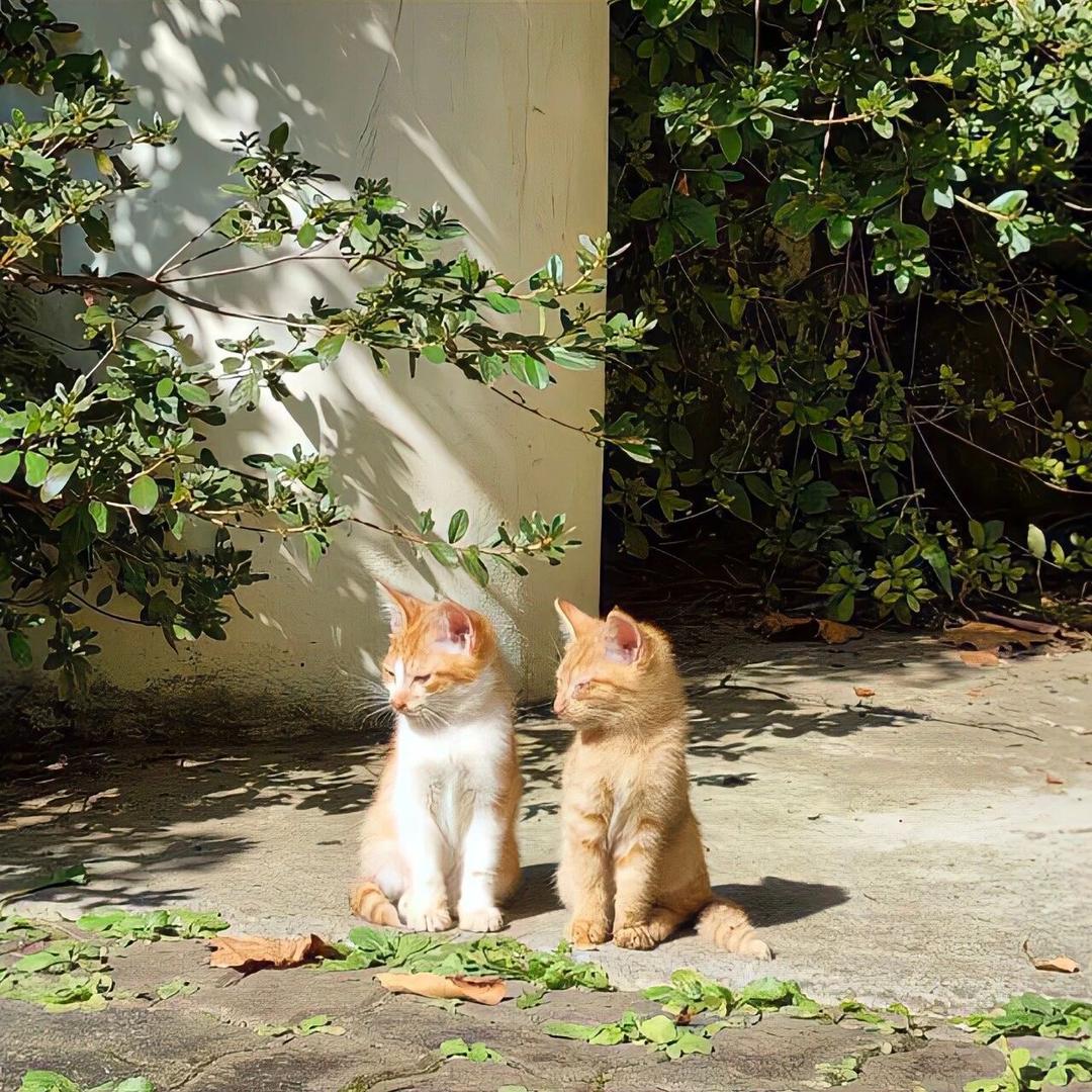 小汤避坑指南（省钱版）