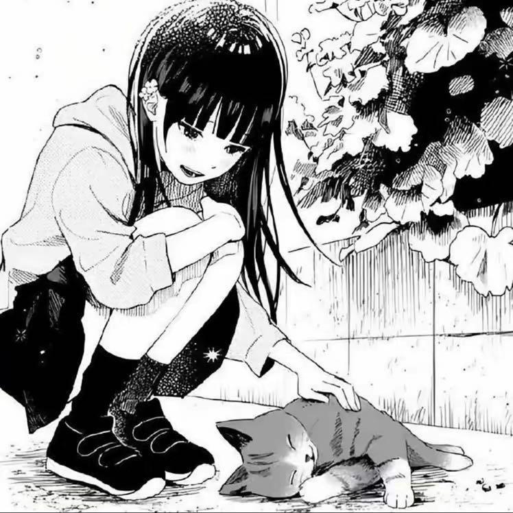 24_