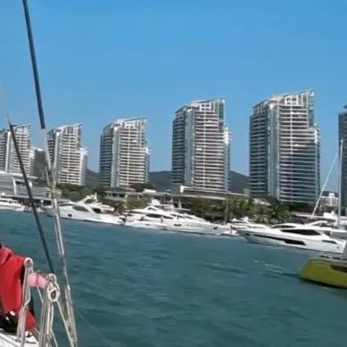 温峥嵘（好物优选）