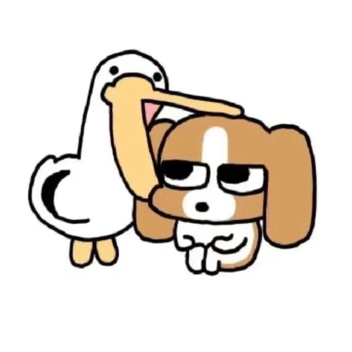 白茶🌻
