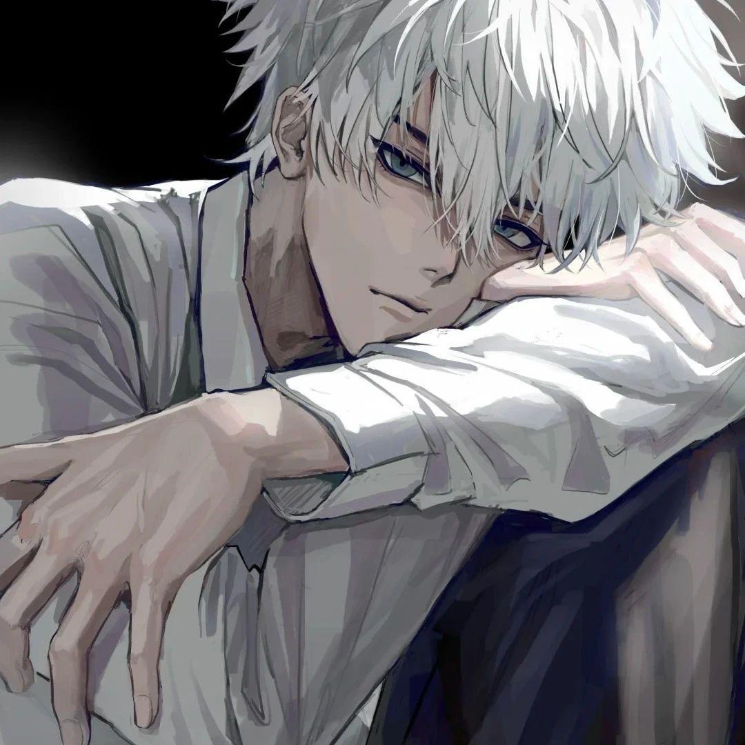 狸