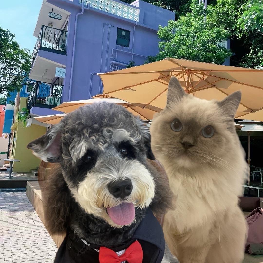 家源室內設計工程🇭🇰