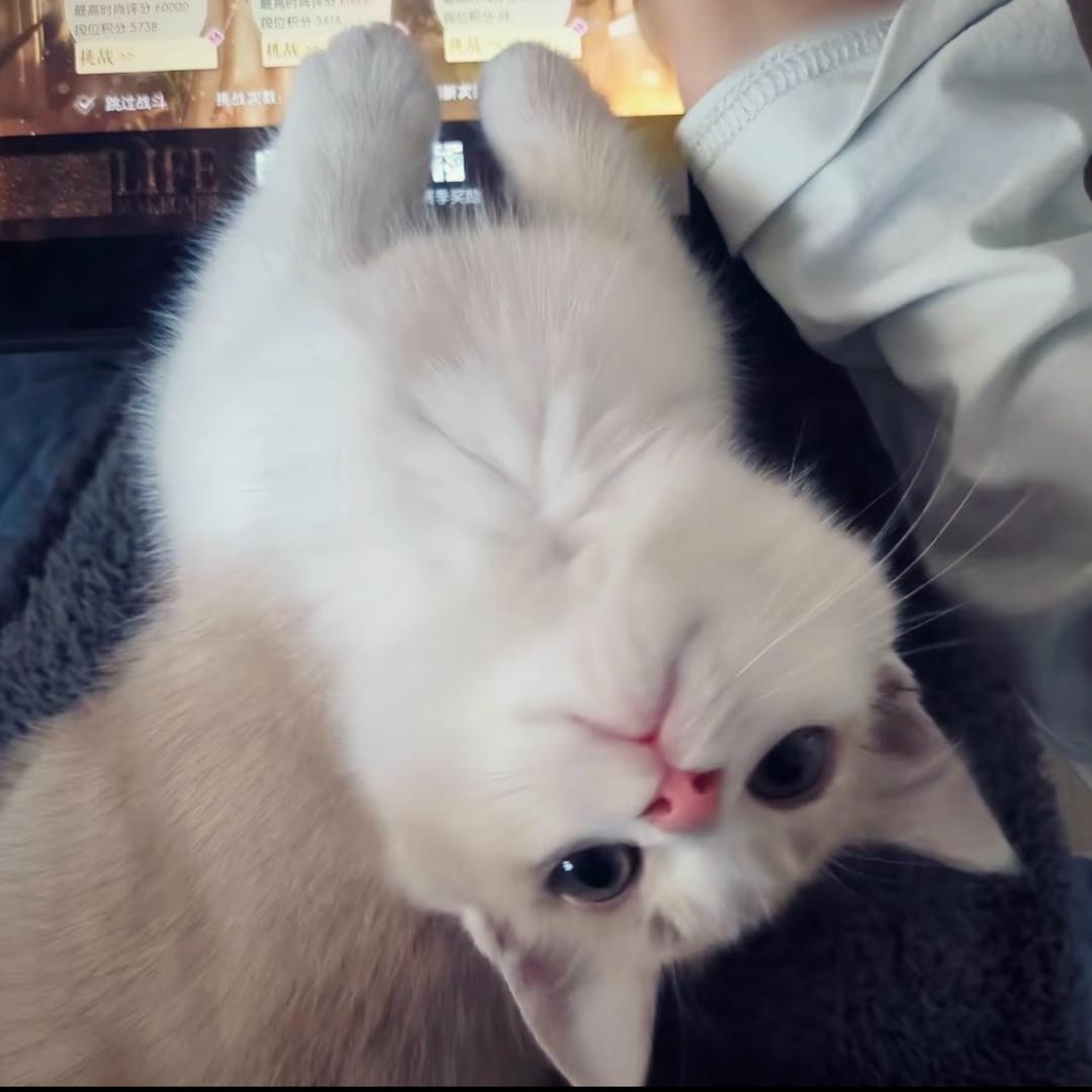 你要这样想我也没办法