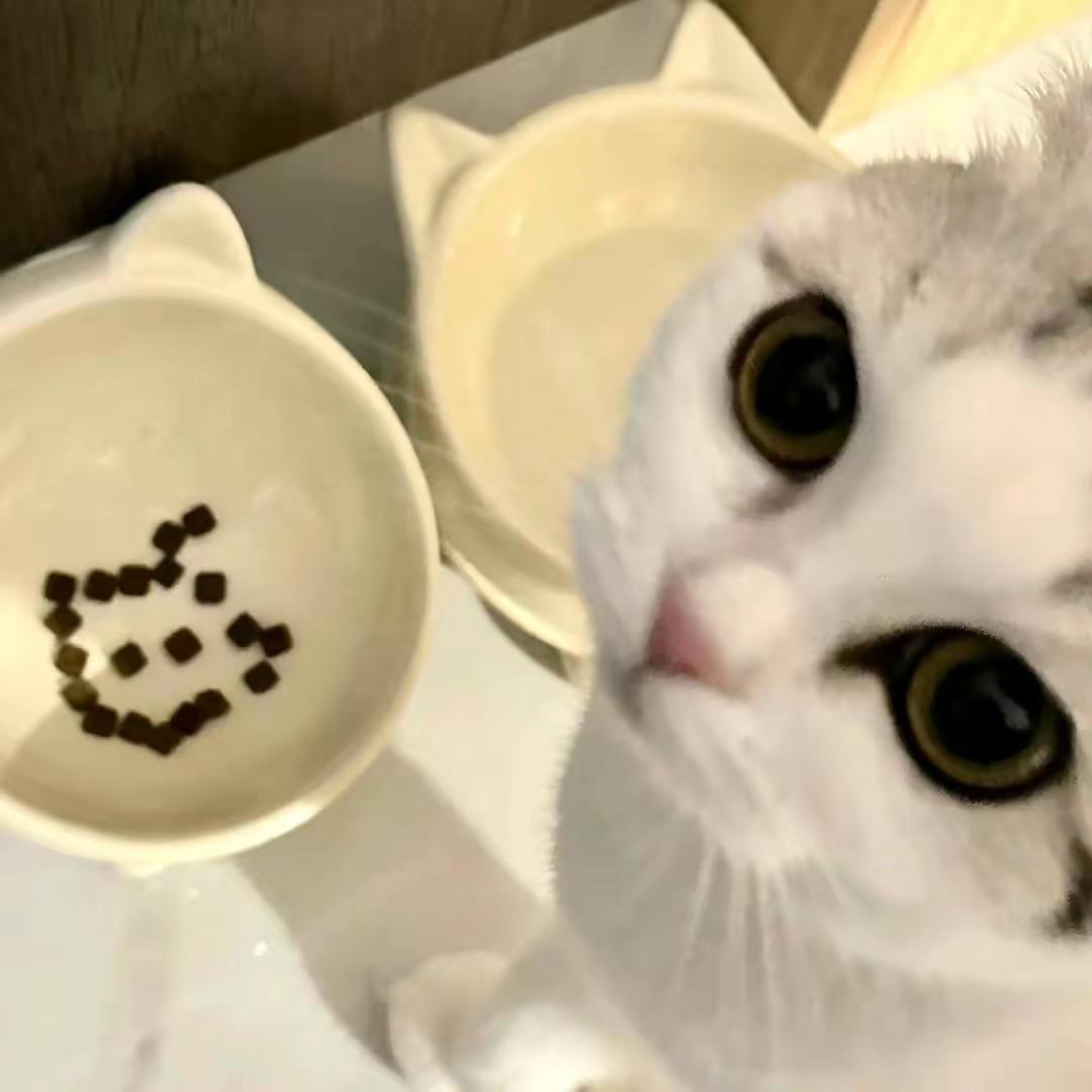 美乐E