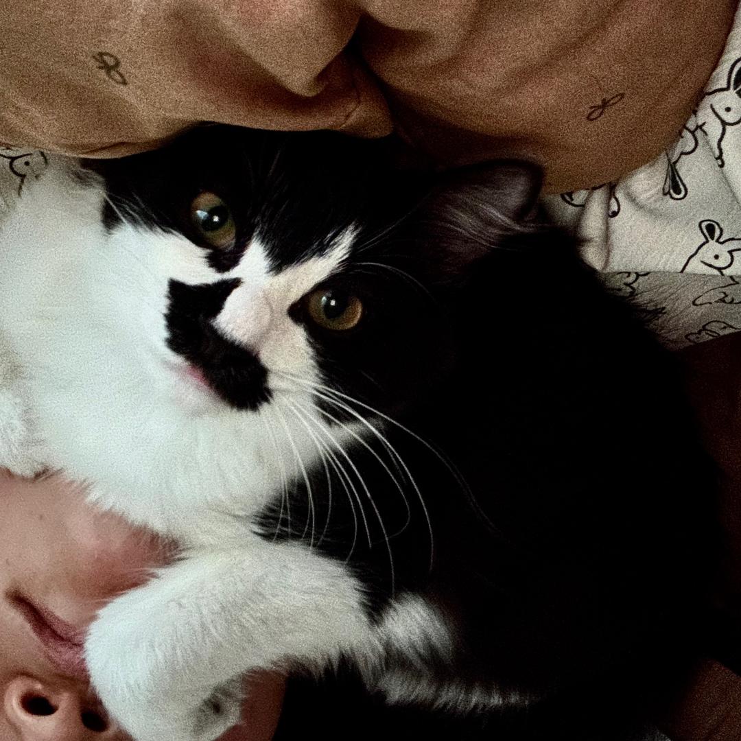 十二丁(打工版)