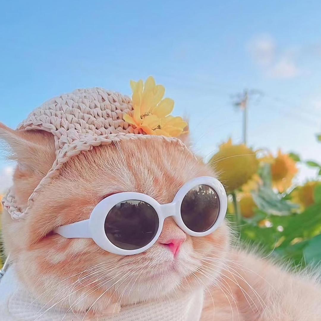 🌈H，
